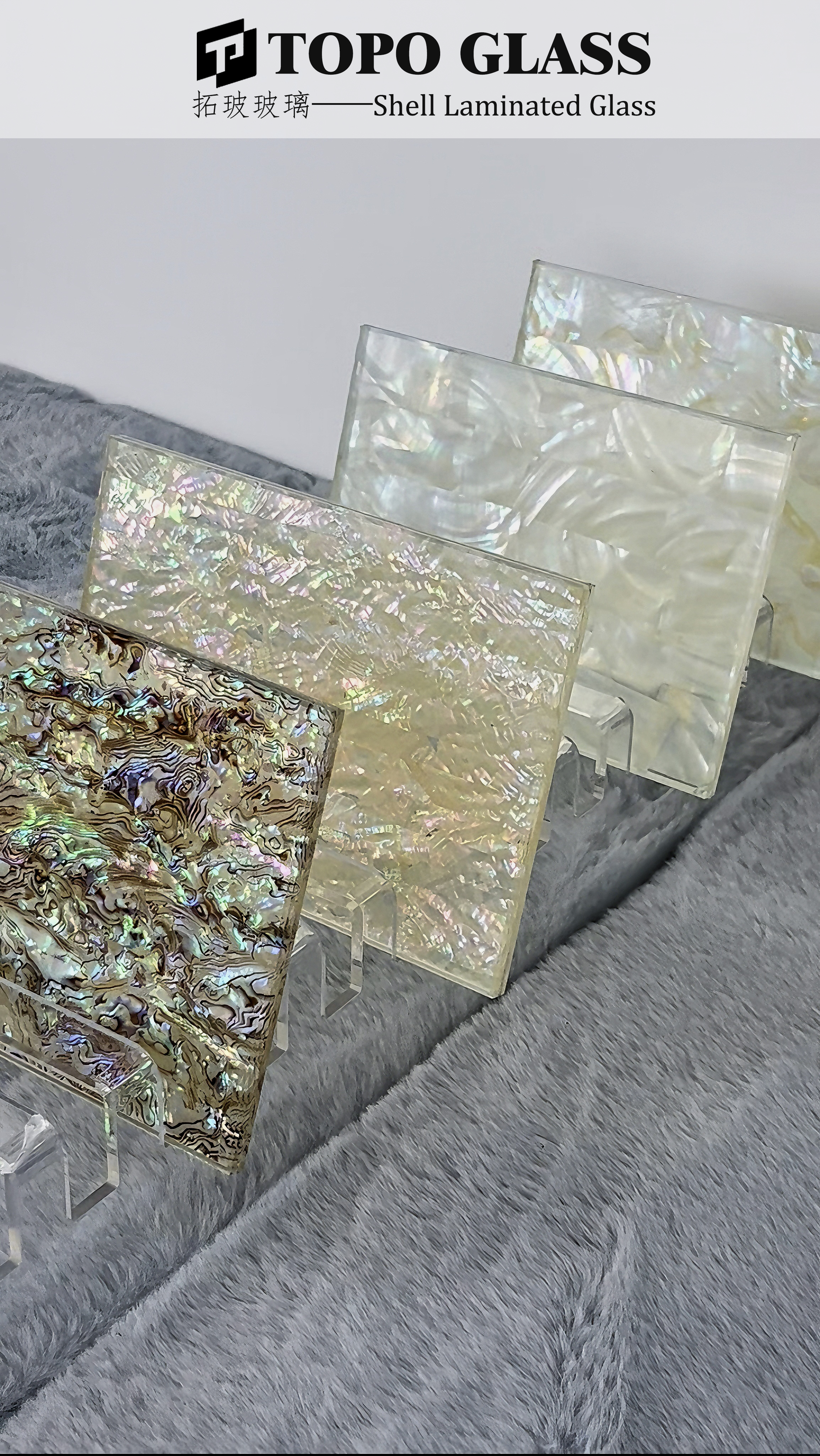 Shell Laminated Glass شل الزجاج الرقائقي