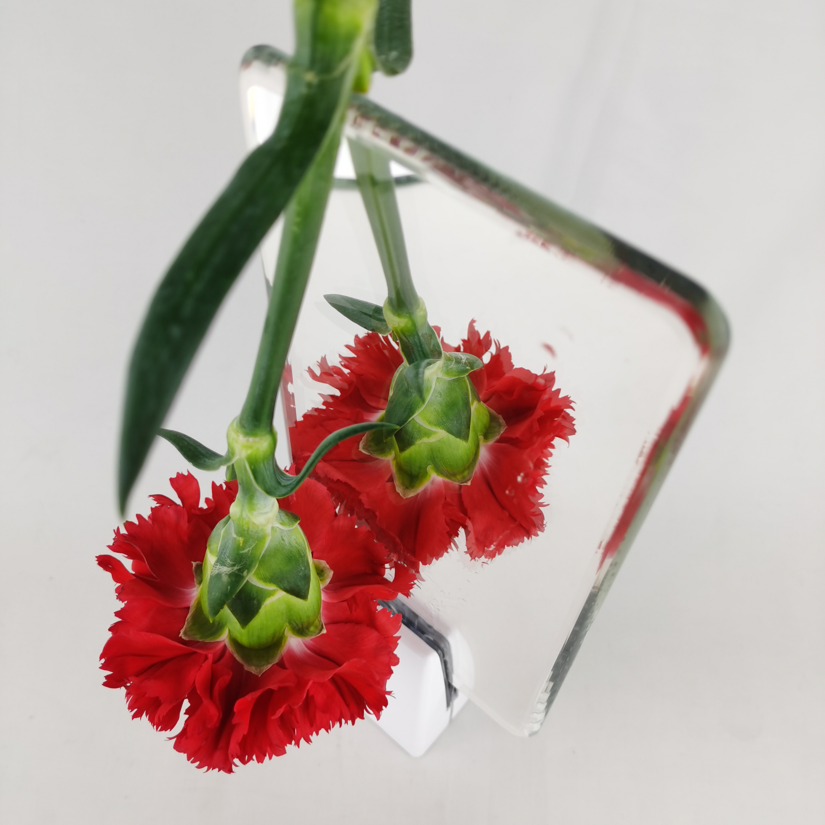 3 مللي متر 4 مللي متر 5 مللي متر 6 مللي متر 8 مللي متر 10 مللي متر 12 مللي متر زجاج مرآة فضي