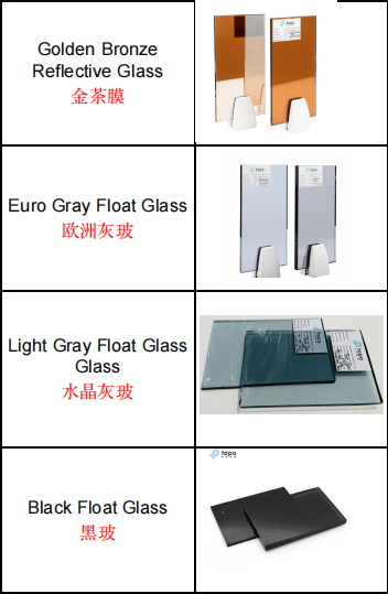 عميل من دولة الإمارات العربية المتحدة يزور شركة TopoGlass لتعزيز التعاون مع شركة تصنيع الزجاج الصينية (4)