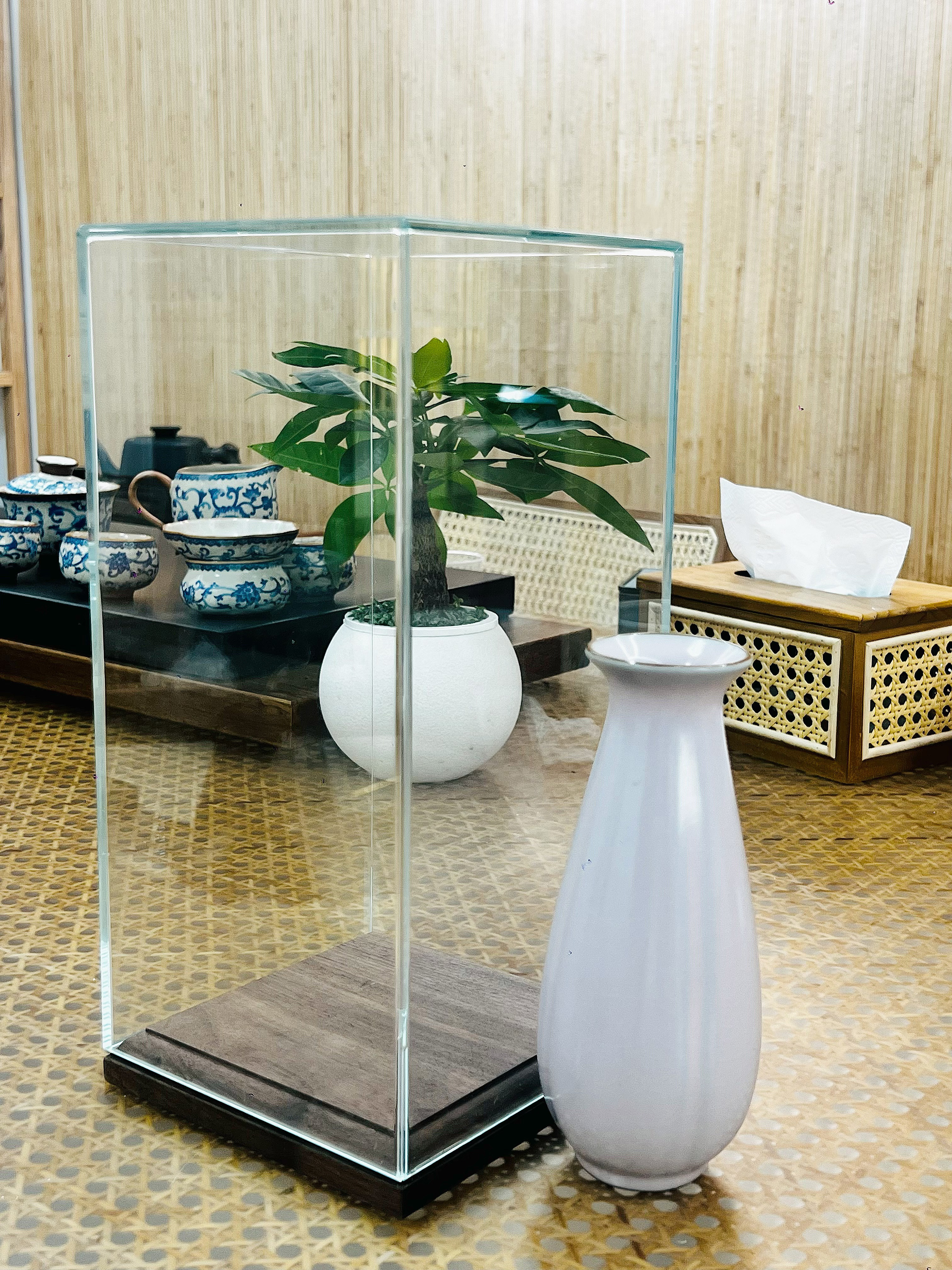 حالة العرض الزجاجية القابلة للتحصيل (3)